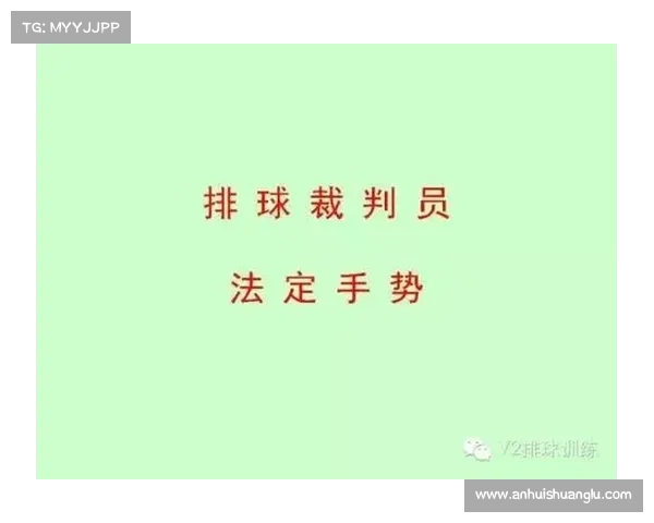 网球比赛主裁判判罚决策的标准与影响因素分析