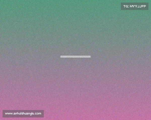 官方宣布汉堡租借矿工后卫戈乔雷什维利附带买断条款