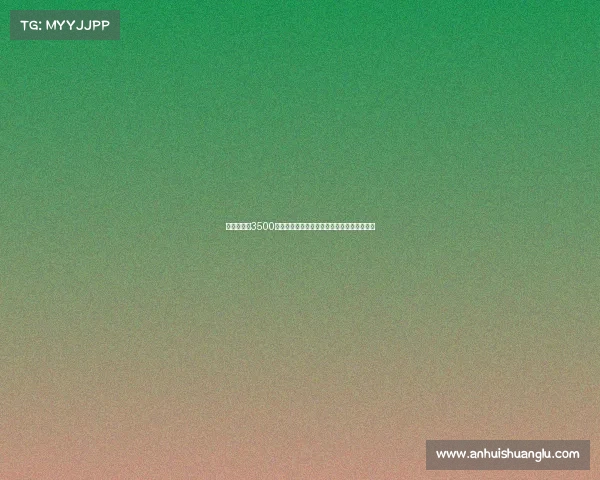 维拉以最高3500万欧元签下尼斯前锋盖桑，正式加入英超阵容